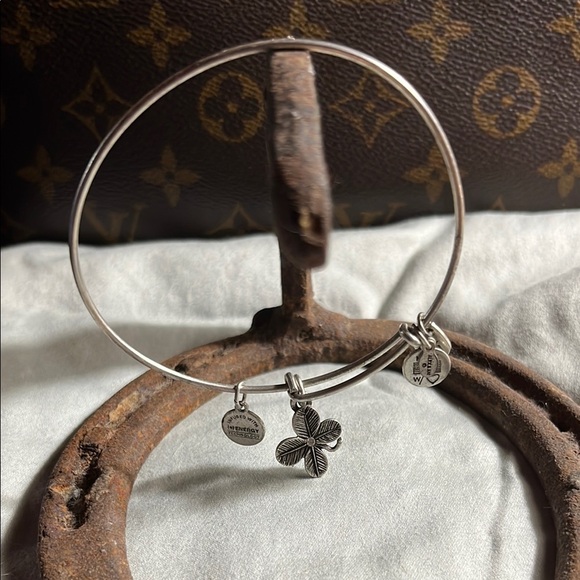 Alex and Ani Silver Charm Bracelet - Picture 1 of 4